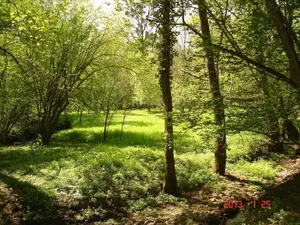 Image of Le Moulin de Monternault