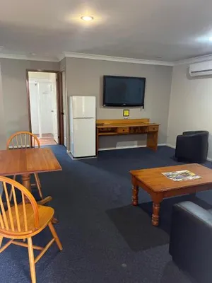 Image of Asters on James Motor Inn