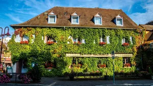Image of Kaiserstühler-Hof