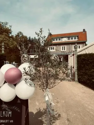 Image of Guesthouse 't Goed Leven