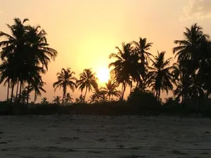 Image of Majorda Beach Holiday Apartment