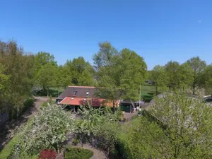 Image of Rheezerstee