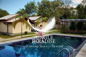 Image of Jungle Paradise