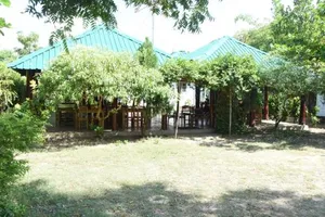 Image of Nilaveli Palm House