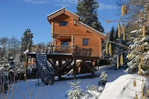 Image of La Cabane a l'Oree des Bornes