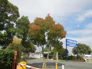 Image of Wodonga Caravan & Cabin Park