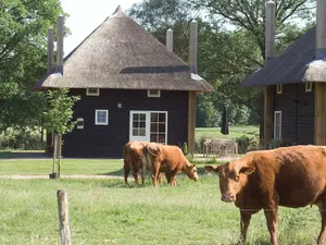 Image of Authentically Designed House With Dishwasher, in Twente