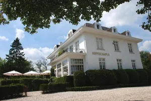 Image of Hotel Hippocampus