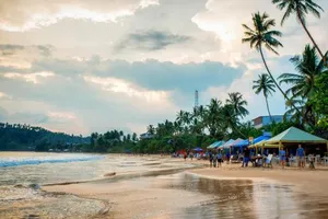Image of Sea Zone Resort