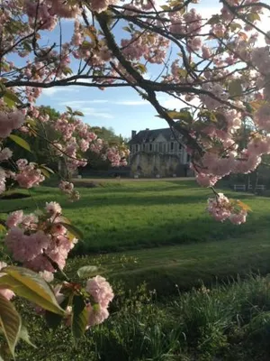 Image of La Maison d'Ambre
