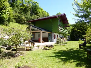 Image of Green Bike Pyrenees