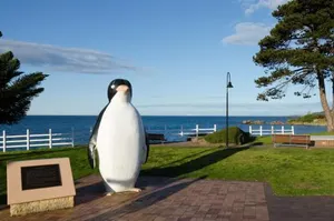 Image of Penguin Beach House