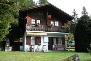 Image of Vergissmeinnicht