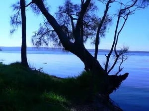 Image of Waterfront Jervis Bay Escape Cooinda