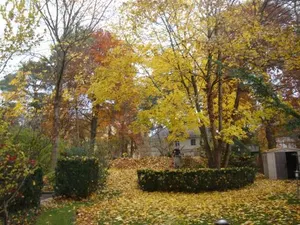 Image of Hotel Landhaus Schlachtensee