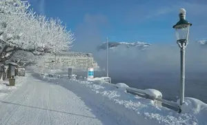 Image of Apartment am See