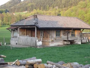 Image of Piccolo Apartment