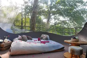 Image of Sphair perchée