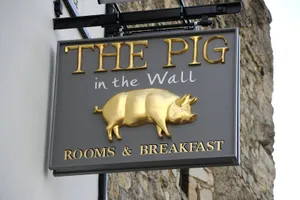 Image of THE PIG in the Wall - Southampton