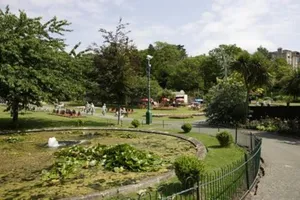 Image of The Grove