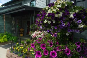 Image of Alaska House of Jade Bed and Breakfast