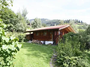 Image of Calming Chalet in Niedernsill Salzburg with Garden