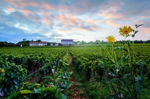 Image of Gites Chateau Comblanchien
