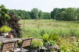 Image of B&B De Wiede Blik