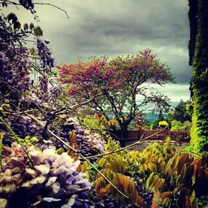 Image of Masia Vista Hermosa