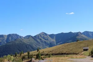 Image of Nigglhofer