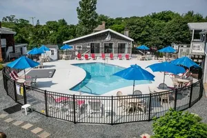 Image of Eastwood at Provincetown