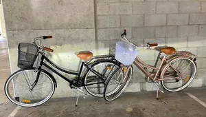 Image of License To Chill • Couple’s Escape in Mooloolaba