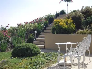 Image of Le Lierre