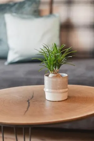 Image of Hotel Garni Hubertushof