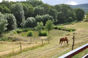 Image of La Bergerie