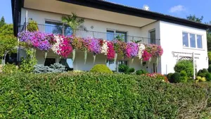 Image of Haus Alexandra