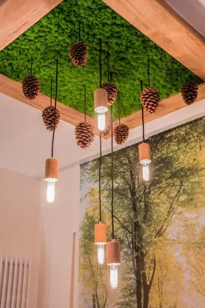 Image of Wellnesshotel Tanne