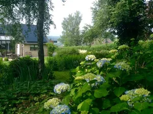 Image of "Un matin au jardin"