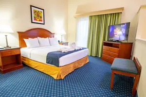 Image of Radisson Branson Hotel