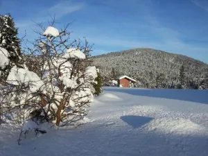 Image of B&B Chalet l'Epinette