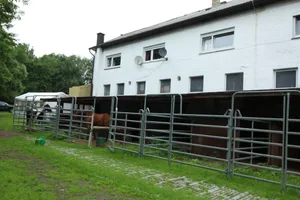Image of Ferienwohnung Ulrichstein/ Bobenhausen II