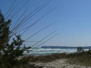 Image of FeWo Tinchen Prora Ruegen