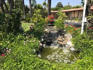 Image of Palm Tropics Motel