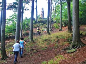 Image of Ferienwohnungen Waldblick