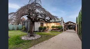 Image of The Weeping Elm - Large and Spacious