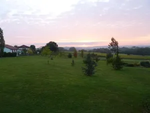 Image of Harrieta