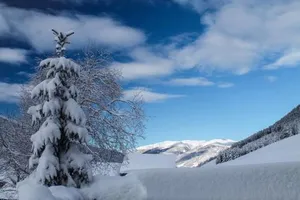 Image of Gaestepension Klammer Pension