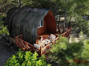 Image of Mari Mari Backpackers Lodge