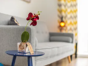 Image of St Johns Road Apartments Perfect Location