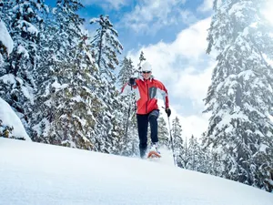 Image of Comfortable Apartment in Thomatal Near Ski Area